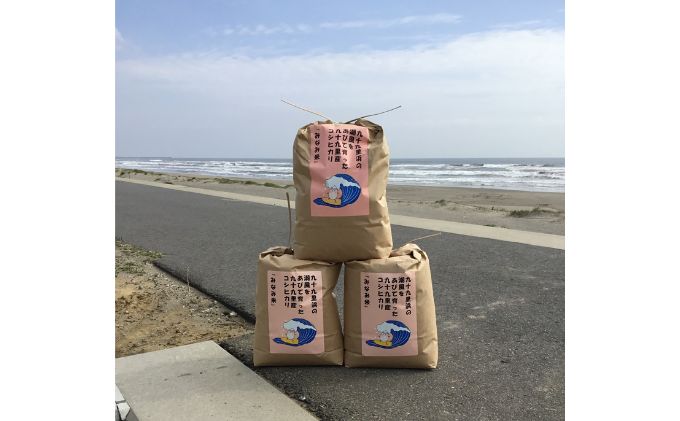【千葉県九十九里町】米 コシヒカリ みなみ米 5kg 九十九里産 お米 新米 白米 精米 ご飯 ブランド米 産地直送 送料無料 こめ コメ おこめ ごはん こしひかり 千葉 千葉県 九十九里 九十九里町