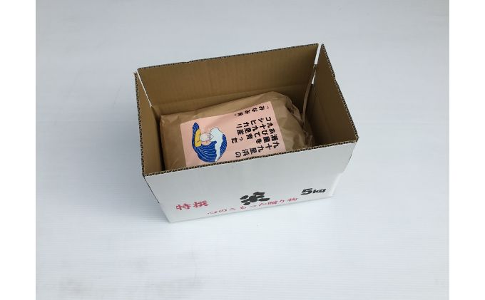 米 コシヒカリ みなみ米 5kg 九十九里産 お米 新米 白米 精米 ご飯 ブランド米 産地直送 送料無料 こめ コメ おこめ ごはん こしひかり 千葉 千葉県 九十九里 九十九里町