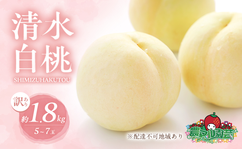 桃 2026年 先行予約 訳あり品 清水 白桃 約1.8kg 5～7玉 もも モモ フルーツ 果物 岡山 赤磐市産 農マル園芸 あかいわ農園 甘い 果肉 人気 