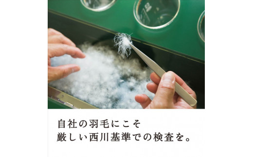 【数量限定】【西川】羽毛掛けふとん/ホワイトダックダウン85％/SL/配色ホワイト【P275W】