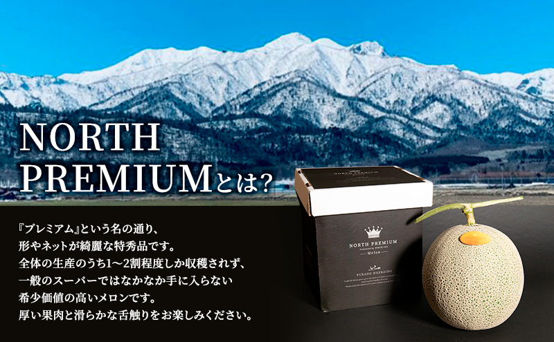 【2026年6月発送】富良野 メロン『NORTH PREMIUM』2玉 計約4kg以上 フルーツ 果物