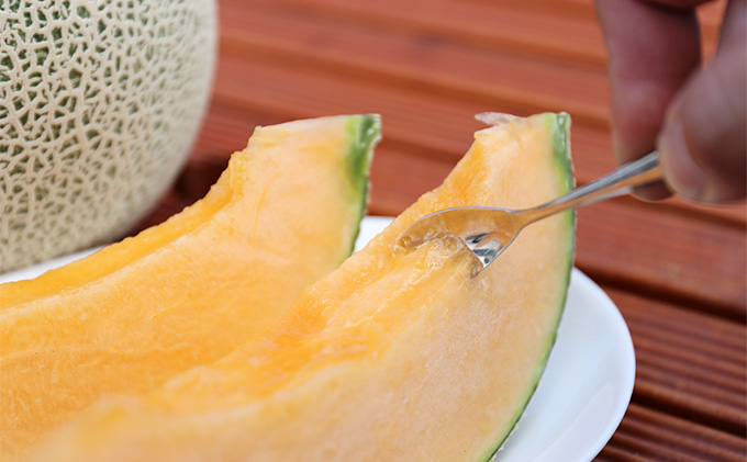 【2026年6月下旬～発送】富良野メロン 4～5玉 計約8kg 北海道 ふらの (NORTH FUN) メロン フルーツ 果物 新鮮 甘い 贈り物 ギフト 道産 ジューシー おやつ ふらの ブランド 夏