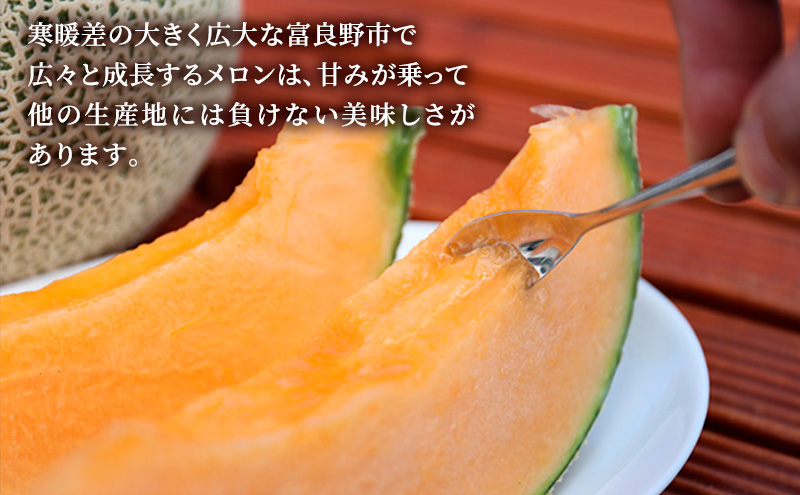 【2026年6月下旬～発送】富良野メロン『NORTH PREMIUM』2玉 約2kg以上 北海道 ふらの (NORTH FUN) メロン フルーツ 果物 新鮮 甘い 贈り物 ギフト 道産 ジューシー おやつ ふらの ブランド 夏