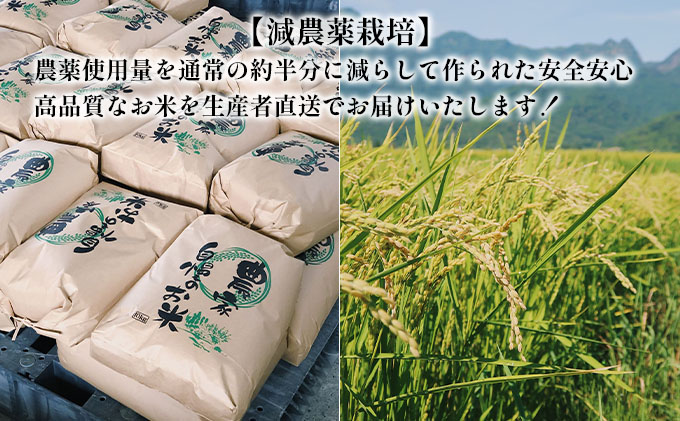 【令和7年度新米】北海道 富良野産 おぼろづき 減農薬 10kg 新米 米 (山本農園) お米 ご飯 ごはん 白米 定期 送料無料 北海道 富良野市 道産 直送 ふらの
