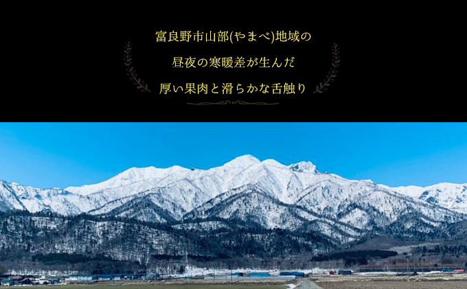 北海道富良野市のふるさと納税 【2026年6月下旬～発送】富良野メロン『NORTH PREMIUM』1玉 約2kg以上 北海道 ふらの (NORTH FUN) メロン フルーツ 果物 新鮮 甘い 贈り物 ギフト 道産 ジューシー おやつ ふらの ブランド 夏