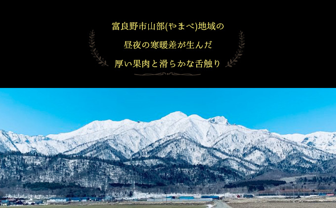 【2026年6月下旬～発送】富良野メロン 4～5玉 計約8kg 北海道 ふらの (NORTH FUN) メロン フルーツ 果物 新鮮 甘い 贈り物 ギフト 道産 ジューシー おやつ ふらの ブランド 夏