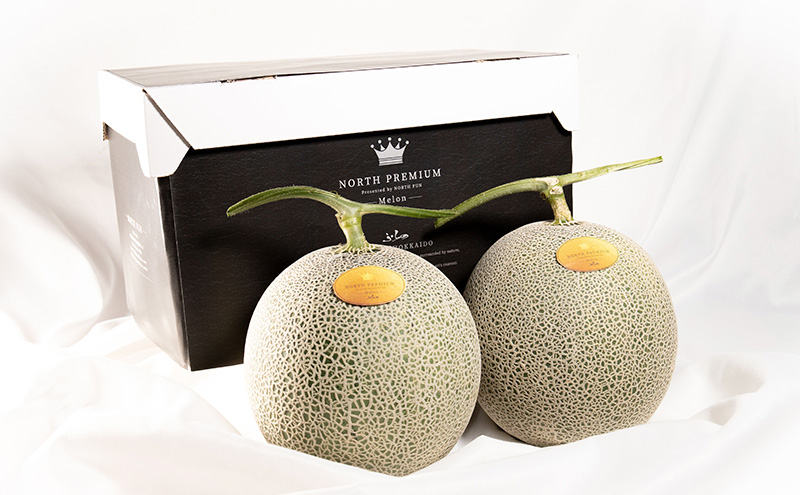 【2026年6月下旬～発送】富良野メロン『NORTH PREMIUM』2玉 約2kg以上 北海道 ふらの (NORTH FUN) メロン フルーツ 果物 新鮮 甘い 贈り物 ギフト 道産 ジューシー おやつ ふらの ブランド 夏