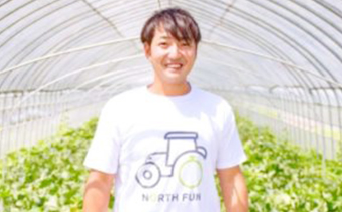 【2026年6月下旬～発送】富良野メロン 4～5玉 計約8kg 北海道 ふらの (NORTH FUN) メロン フルーツ 果物 新鮮 甘い 贈り物 ギフト 道産 ジューシー おやつ ふらの ブランド 夏