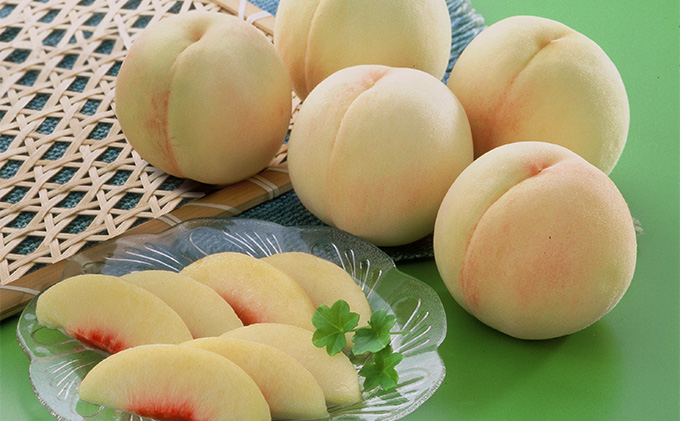 桃 2026年 先行予約 岡山 白桃（品種：白鳳／加納岩白桃）5～7玉 合計1.5kg以上 もも モモ 岡山県産 国産 フルーツ 果物 ギフト 環山堂 果皮が薄い 上品 甘み 贈り物 果実 柔らかい 多汁 