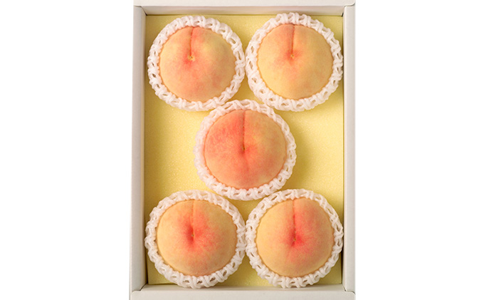 桃 2026年 先行予約 岡山 白桃（品種：おかやま夢白桃／白麗）5～7玉 合計1.5kg以上 もも モモ 岡山県産 国産 フルーツ 果物 ギフト 環山堂 上品 甘み 香り 贈り物 果実 柔らかい 多汁 