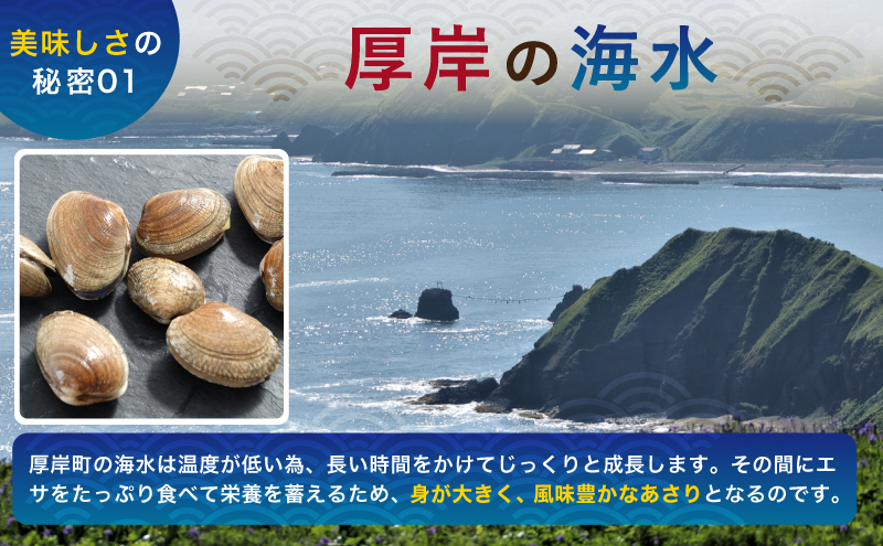 あさり 【定期便 6ヶ月】 北海道 厚岸産 ボイル冷凍あさり 250×5パック (各回1,250g×6ヶ月分,合計約7.5kg) 簡単 お手軽 魚貝類 北海道産 国産 出汁 味が濃い 旨味 あさりのみそ汁 パスタ 酒蒸し 料理 調理 食材 ボンゴレ 