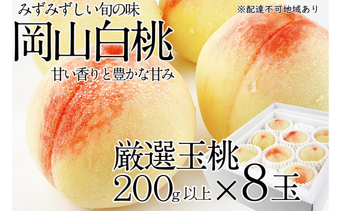 桃 2026年 先行予約 岡山の白桃 200g以上×8玉 白桃 旬 みずみずしい 晴れの国 おかやま 岡山県産 フルーツ王国 果物王国 夏の果物 果汁 とろける 上品な香り 