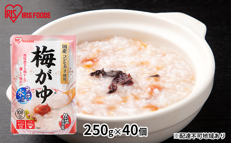y{錧͌zyhЁz ~250g×40 ACXI[} gg k ЊQ 펞  ~  ΍ XgbN H ̒s Hו ቷ@ 퉷ۑ H