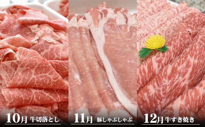 香川県産　オリーブ牛、豚　500ｇ　定期便（7月～12月） 牛肉 お肉 豚肉 毎月届く 半年 6回お届け すき焼き ロース しゃぶしゃぶ 焼肉 スライス 切り落とし 