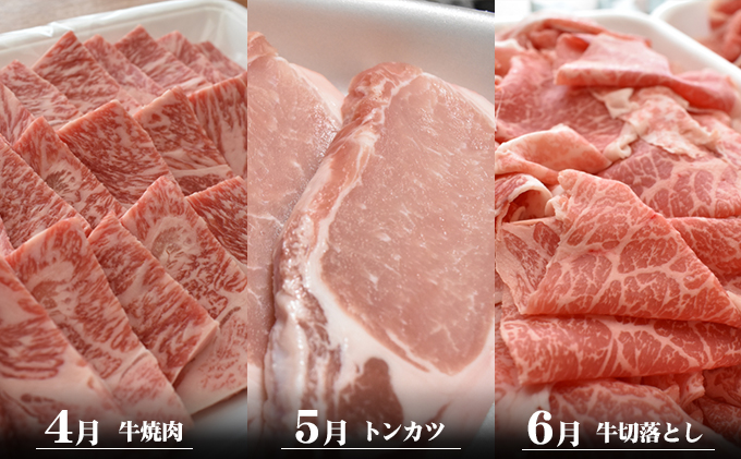 香川県産　オリーブ牛、豚　500ｇ　定期便（1月～6月） 牛肉 お肉 豚肉 毎月届く 半年 6回お届け すき焼き ロース しゃぶしゃぶ 焼肉 とんかつ 切り落とし 