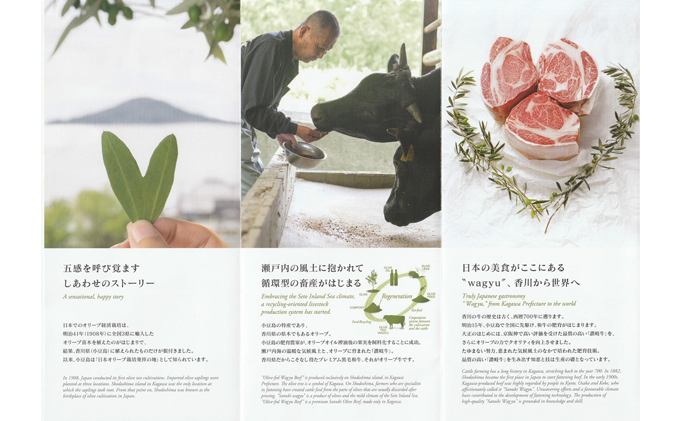 香川県産　オリーブ牛、豚　500ｇ　定期便（1月～6月） 牛肉 お肉 豚肉 毎月届く 半年 6回お届け すき焼き ロース しゃぶしゃぶ 焼肉 とんかつ 切り落とし 