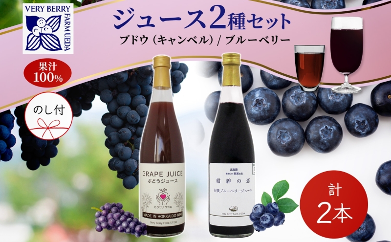 �y�k�C���m�ؒ��z���n���l �Ԃǂ��W���[�X �L�@�u���[�x���[ �W���[�X ���ݔ�� �e1�{ �v2�{ �Z�b�g�Q�̓� �L�����x�� �Ԃǂ� ���ɂ̗� �ʏ` 100�� ������ �M�t�g �k�C�� �m�ؒ�