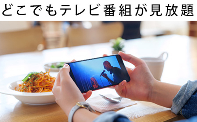 愛知県日進市のふるさと納税 BUFFALO スマホでテレビが楽しめるレコーダー nasne (登録商標) 家電 電化製品 レコーダー スマホ テレビ HDD ポータブル 録画 テレビ録画 大容量 機器 外付け 再生 バッファロー 愛知 愛知県 日進市