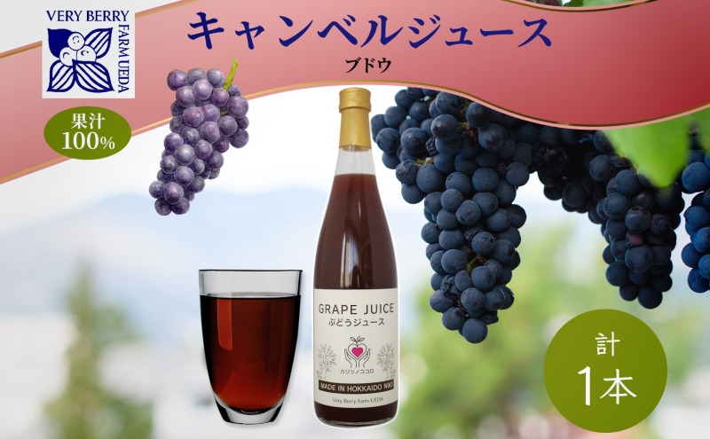 �y�k�C���m�ؒ��z�Ԃǂ��W���[�X 710ml 1�{ �L�����x���A�[���[ ���� �ʏ` 100�� ������ �M�t�g �V�N �k�C�� �m�ؒ�