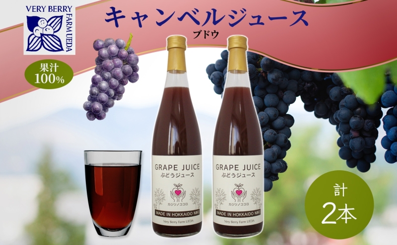 �y�k�C���m�ؒ��z�Ԃǂ��W���[�X 710ml 2�{ �Z�b�g �L�����x���A�[���[ ���� �ʏ` 100�� ������ �M�t�g �V�N �k�C�� �m�ؒ�