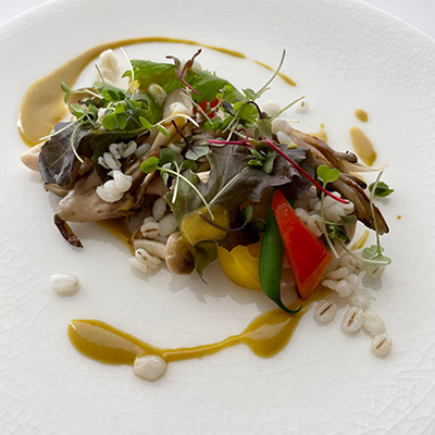 レメデニカホ  ディナーお食事券（1名様分）にかほガストロノミー  チケット 