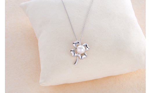 �y�O�d�����H�s�z30-07�A�R���^��y���_���g