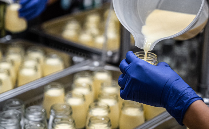 ジャージーA2ミルクで作ったプリン8個　沖縄・離島不可　 お菓子 スイーツ 生菓子 洋菓子 おやつ デザート 食後 牛乳本来の味 冷蔵品 ジャージー牛乳 ジャージーミルク 