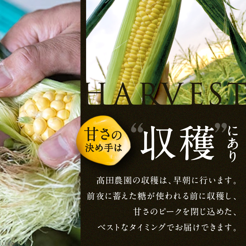 岡山県瀬戸内市のふるさと納税 ［2026年先行予約］牛窓産とうもろこし まるでフルーツ！最高糖度25度超え 生で甘い、茹でて美味い！ 黄色 とうもろこし 「桃太郎コーン」約4kg（8～12本入り） 野菜