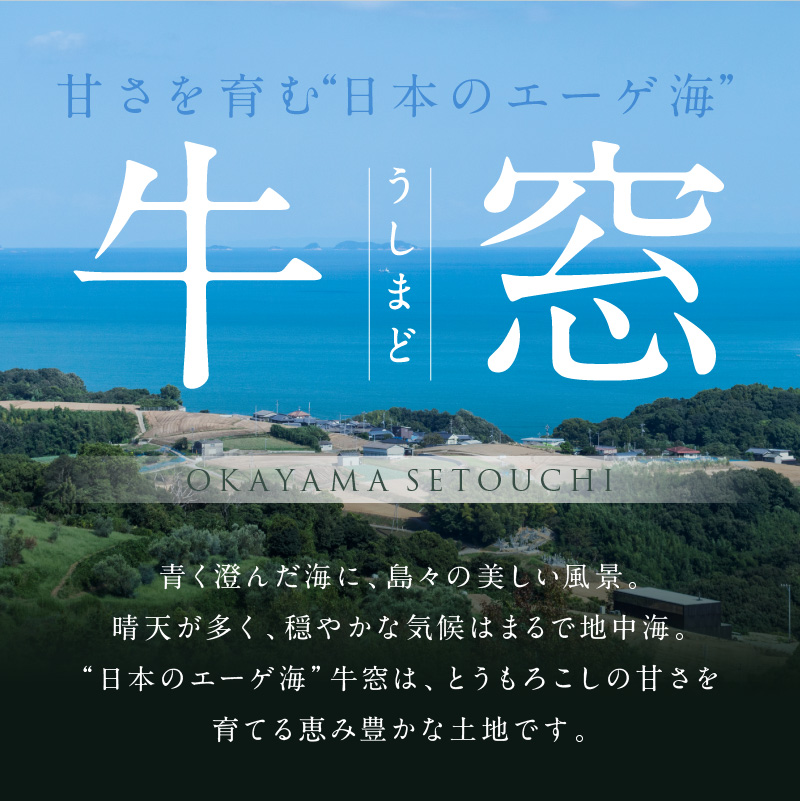 岡山県瀬戸内市のふるさと納税 ［2026年先行予約］牛窓産とうもろこし まるでフルーツ！最高糖度25度超え 生で甘い、茹でて美味い！ 黄色 とうもろこし 「桃太郎コーン」約4kg（8～12本入り） 野菜