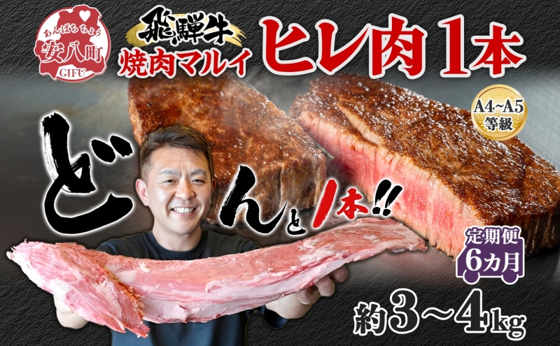 【岐阜県安八町】飛騨牛 ヒレ肉 ブロック A4〜A5等級 1本6ヵ月定期便約3〜4kg  3割×6 ヒレ シャトーブリアン 肉 牛肉 ブランド牛 お肉 和牛 贅沢 お取り寄せ ご褒美 ステーキ 豪華 グルメ 焼肉 BBQ パーティー ギフト 贈り物 自家用 贈答用 焼肉マルイ 岐阜県 【 安八町 】