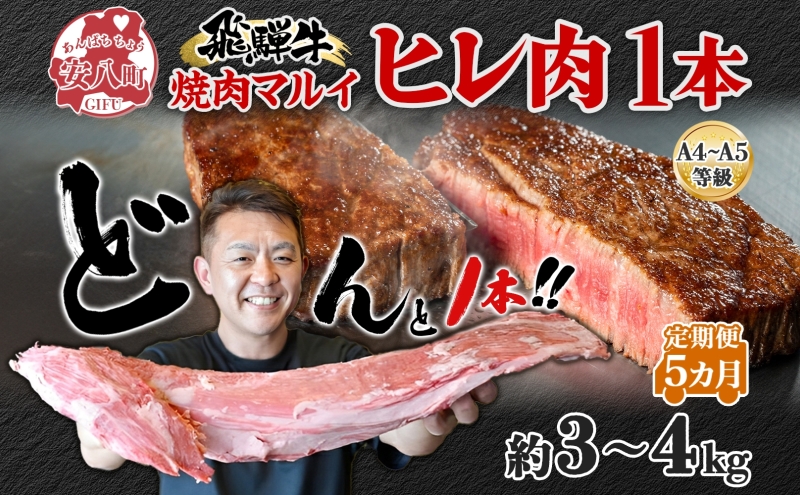 飛騨牛 ヒレ肉 ブロック A4～A5等級 1本5ヵ月定期便約3～4kg  3割×5 ヒレ シャトーブリアン 肉 牛肉 ブランド牛 お肉 和牛 贅沢 お取り寄せ ご褒美 ステーキ 豪華 グルメ 焼肉 BBQ パーティー ギフト 贈り物 自家用 贈答用 焼肉マルイ 岐阜県 【 安八町 】