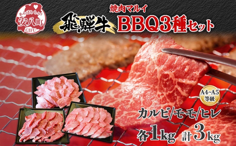 焼肉マルイ 飛騨牛BBQセット 約3kg セット カルビ ヒレ肉 モモ肉 お肉 肉 お家で簡単 本格 国産 国産牛 牛 牛肉 和牛 秘伝のたれ タレ付き 焼くだけ簡単 お取り寄せグルメ 送料無料 岐阜県 安八町