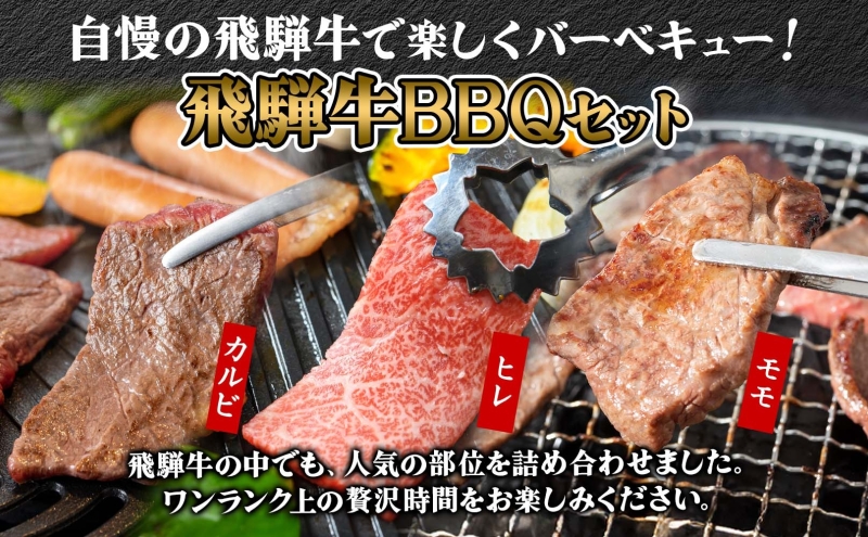 焼肉マルイ 飛騨牛BBQセット 約3kg  セット カルビ ヒレ肉 モモ肉 お肉 肉 お家で簡単 本格 国産 国産牛 牛 牛肉 和牛 秘伝のたれ タレ付き 焼くだけ簡単 お取り寄せグルメ 送料無料 岐阜県 安八町