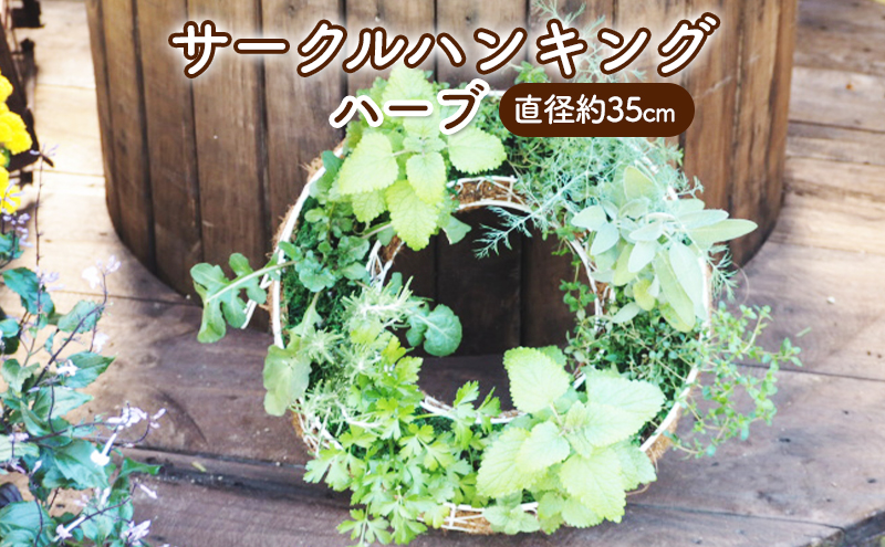 ハーブ サークルハンキング 直径35cm 植物 インテリア ガーデン 