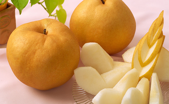  梨 2026年先行予約 あたご梨 2玉 合計1.8kg以上 岡山 環山堂 大きさ 特徴 赤梨 果物 フルーツ 独特 香り 柔らか みずみずしい しゃきっ ギフト 贈り物 