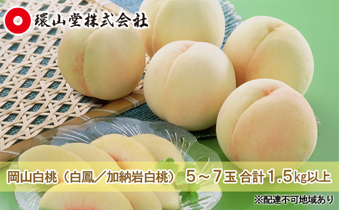 yR˓sz 2026N s\ R iiFP^[┒j5`7 v1.5kgȏ   RY Y t[c ʕ Mtg R ˓ L܍͔| i Â  L Ƃ낯 ʏ` 蕨