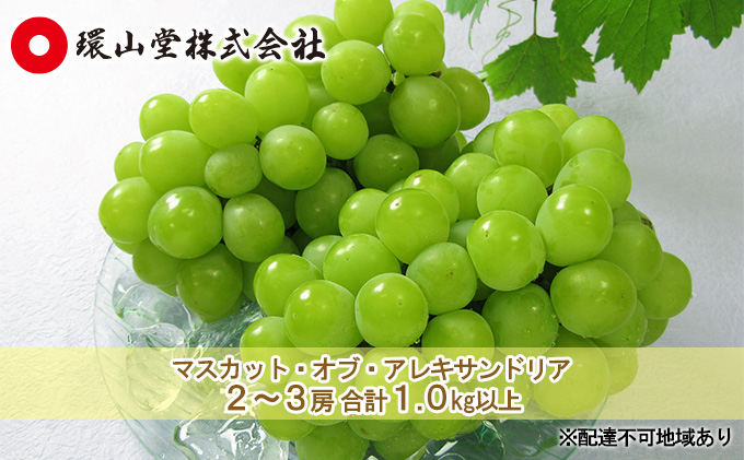ぶどう 2026年 先行予約 マスカット・オブ・アレキサンドリア 2～3房 合計1.0kg以上 マスカット ブドウ 葡萄  岡山県産 国産 フルーツ 果物 ギフト 環山堂 女王 美しい 香り 気品 贈り物 芳醇 