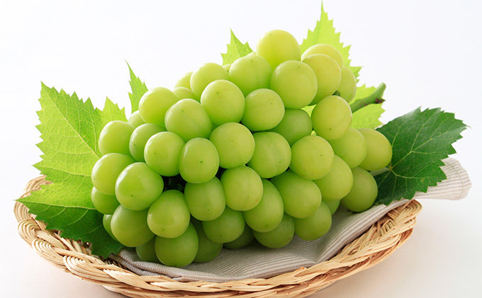 ぶどう 2026年 先行予約 シャイン マスカット 晴王 1房 700g以上 マスカット ブドウ 葡萄  岡山県産 国産 フルーツ 果物 ギフト 環山堂 大粒 種無し 甘い 豊潤 香り 皮ごと 高糖度 贈り物 