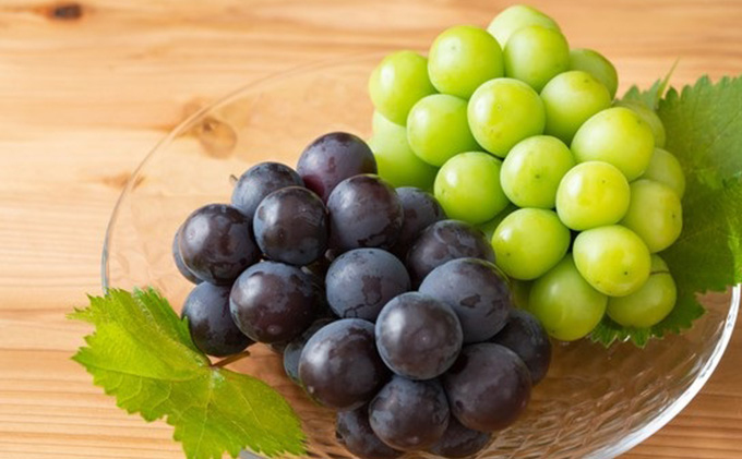 ぶどう 2026年 先行予約 種無し ぶどう 詰合せ 2房 合計1.2kg以上 マスカット ブドウ 葡萄  岡山県産 国産 フルーツ 果物 ギフト 環山堂 大粒 甘い 甘酸っぱさ 人気 香り 皮ごと 高糖度 贈り物 