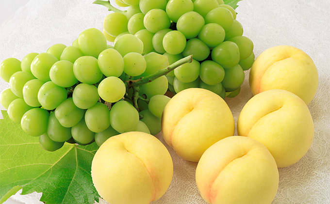桃 ぶどう 2026年 先行予約 岡山 白桃 5玉とシャイン マスカット 2房 詰合せ 合計2.7kg以上 もも 葡萄 岡山県産 国産 フルーツ 果物 ギフト 環山堂 上品 甘み 乳白色 人気 皮ごと 贈り物 セット 