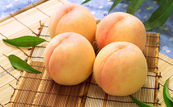 桃 2026年 先行予約 岡山 白桃 4～5玉 合計1.0kg以上 もも モモ 岡山県産 国産 フルーツ 果物 ギフト 環山堂 直射日光 有袋栽培 皮が薄い 上品 甘み 香り豊か とろける 果汁 贈り物 