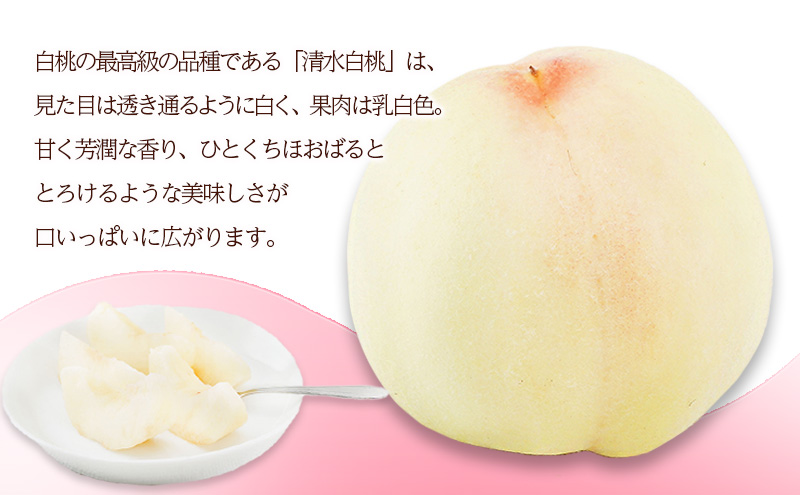 桃 2026年 先行予約 清水 白桃 8玉（1玉200g以上）化粧箱入り もも モモ 岡山県産 国産 フルーツ 果物 ギフト 最高級 乳白色 柔らかい 果汁 とろける 美味しい 贈り物 