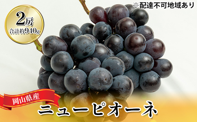 yR˓szԂǂ 2026N s\ j[ sI[l 2[iv940gjϔ uhE   RY Y t[c ʕ Mtg