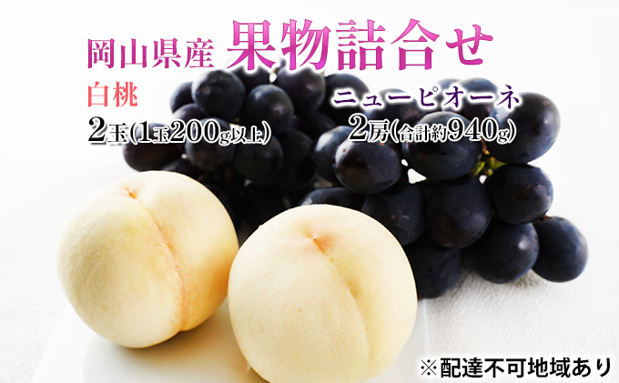 【岡山県瀬戸内市】桃 ぶどう 2026年 先行予約 果物詰合せ 白桃 2玉(1玉200g以上) ニュー ピオーネ 2房(合計約940g)化粧箱入り 岡山県産 国産 フルーツ 果物 ギフト  贈り物 セット