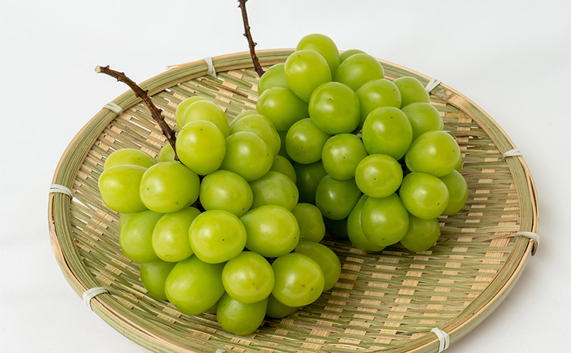 ぶどう 2026年 先行予約 シャイン マスカット 晴王 2房 （合計約1.1kg） 化粧箱入り マスカット ブドウ 葡萄  岡山県産 国産 フルーツ 果物 ギフト 