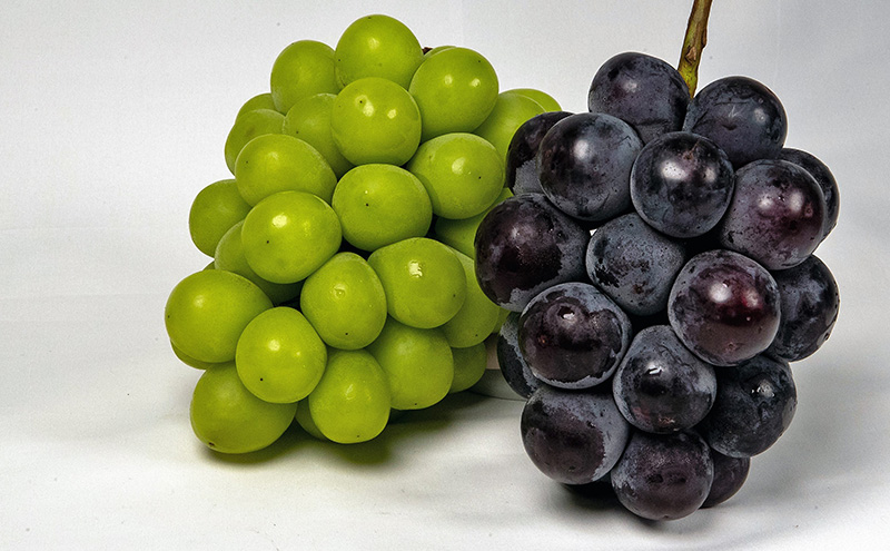 ぶどう 2026年 先行予約 詰め合わせ ニュー ピオーネ 1房 (1房470g以上)  シャイン マスカット 晴王 1房 (1房470g以上) 化粧箱入り 岡山県産 国産 フルーツ ギフト  果物 贈答品 セット 