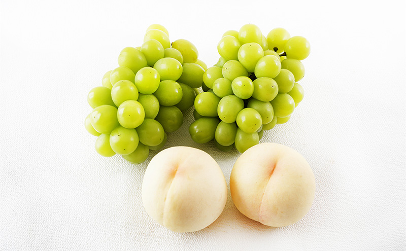 桃 ぶどう 2026年 先行予約 果物詰合せ 白桃 2玉 (1玉200g以上)  シャイン マスカット 晴王 2房 (合計約940g) 化粧箱入り 岡山県産 国産 フルーツ 果物 ギフト 