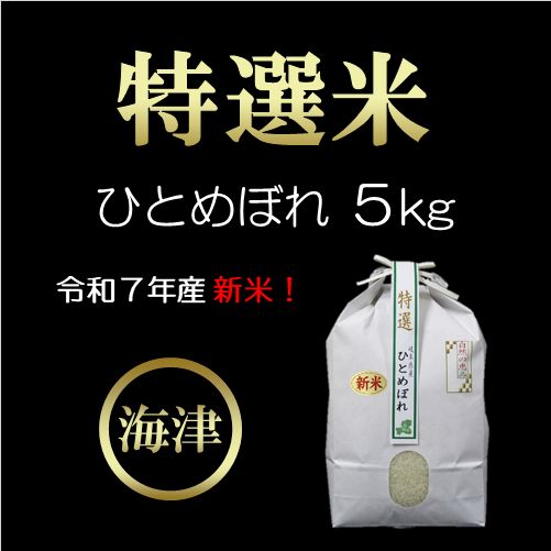 【期間限定】新米！特選米ひとめぼれ（5kg） お米 5kg 