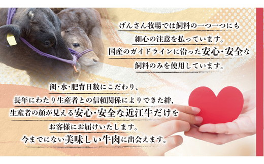 【A4等級以上】近江牛モモすき焼用切落し 250g【DG22W】