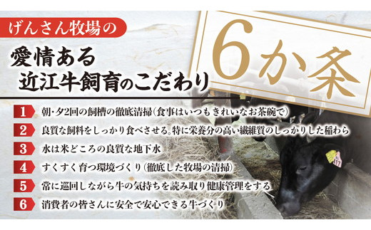 【A5ランク】近江牛 究極の赤身 モモすき焼用400g【DG23W】